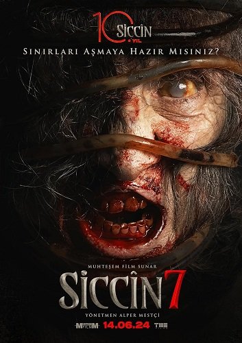   7 (2024)
