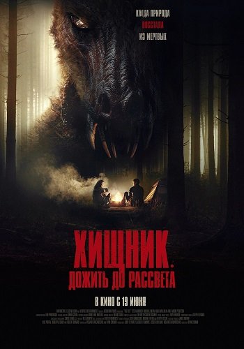  .    (2024)